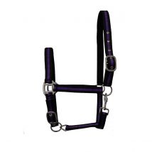 GS Equestrian Padded Head Collar - Black/Purple/Black / Cob