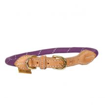 Shires Digby & Fox Reflective Dog Collar - Royal / M