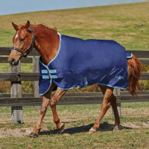Saxon 600D Standard Neck Lite IV Rug - Navy/Light Blue / 4'3