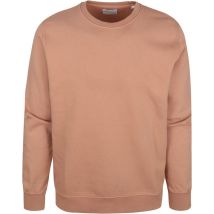 Colourful Standard Pull Marron taille L