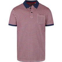 Petrol Polo Rouge taille XXL