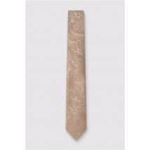Antique Rogue Champagne Paisley Tie Beige