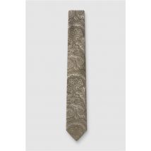 Antique Rogue Sea Green Paisley Tie Green