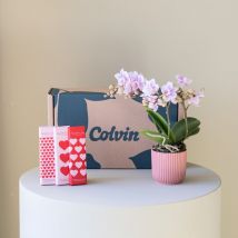 Pack Mini Orquídea Sara com Chocolate e Vaso