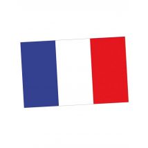 Franse vlag 150 x 90 cm - Thema: Nationaliteit en Supporters - Multicolore - Maat Uniek Formaat