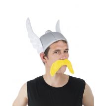Asterix und Obelix-Kopfbedeckung Gallier Helm Asterix grau - Thema: Filmstars + Promis - Grau, Silber - Größe Einheitsgröße