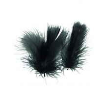 Pequeñas plumas negras