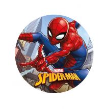 Disco ácimo Spiderman 20 cm