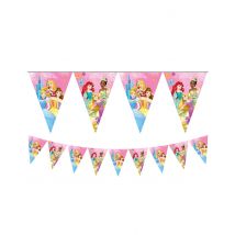 Disney Prinsessat -lippukoriste