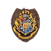 Pignatta Harry Potter - Eroi E Cattivi Leggendari - Multicolore