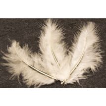 20 ivoorkleurige decoratieve veren 5,5 cm voor bruiloft - Thema: Jaren 20/30 - Grijs, Wit - Maat Uniek Formaat
