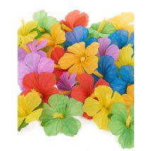 24 Hawaii bloemen - Thema: Hawaï - Maat One Size