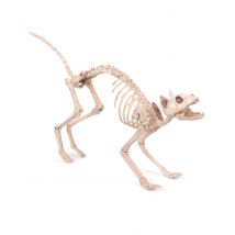 Skelet kat decoratie - Thema: Dieren - Grijs, Wit - Maat Uniek Formaat