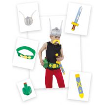 Asterix verkleedset met 5 accessoires - Thema: Bekende personages - Gekleurd - Maat Uniek Formaat