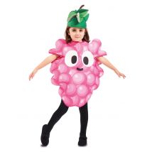 Kindertros druivenkostuum - Thema: Humoristisch - Roze - Maat 2 - 4 jaar (92/104)