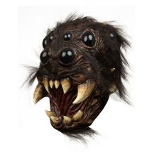 Spinnenhoofd-masker voor volwassenen - Thema: Spinnen + pompoenen - Zwart - Maat Uniek Formaat
