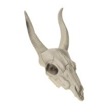 Buffelkop schedel 14 x 40 cm - Thema: Spoken + Skeletten - Grijs, Wit