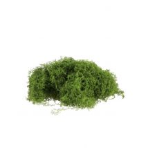 Groen rekmos 100g - Thema: Magie en Horror - Groen - Maat Uniek Formaat