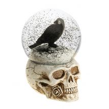 Raven Skull Sneeuwbol Hars 15,6 cm - Thema: Magie en Horror