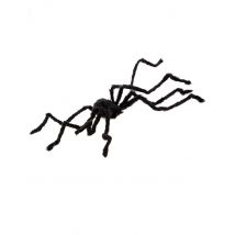 Araignée velue Halloween 150 cm - Couleur Noir