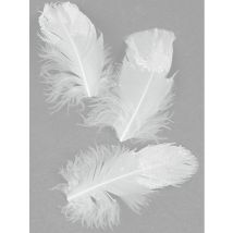 20 Plumes blanches pailletées 9 cm - Couleur Blanc