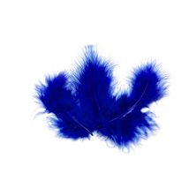 20 Plumes de décoration bleu roi 10 x 4 cm - Couleur Bleu foncé