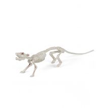 Décoration squelette rat 16 x 23 cm Halloween - Couleur Blanc