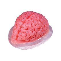 Moule à gelée cerveau transparent Halloween - Couleur Rouge
