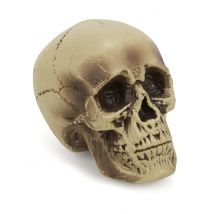 Décoration crâne plastique 18 cm - Couleur Ivoire