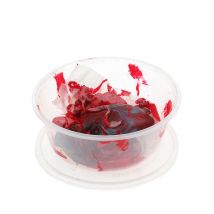 Boîte avec restes humains 16 x 7 cm - Couleur Rouge