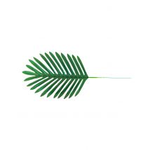4 Feuilles de palmier 40 x 18 cm - Couleur Vert