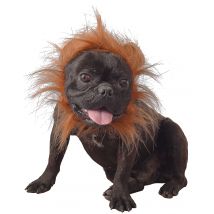 Déguisement lion pour chien - Couleur Orange