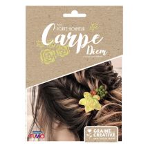 Kit bijoux porte-bonheur broches à cheveux - Couleur Multicolore