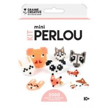 Kit perles à repasser Animaux 2000 perles - Couleur Multicolore