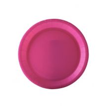 10 Assiettes en carton fuchsia 22 cm - Couleur Rose