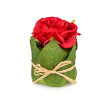 Rose rouge dans un pot en feuillage 8 x 6 cm - Couleur Rouge