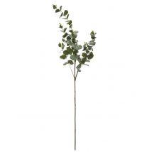 Branche d'eucalyptus 98 cm - Couleur Vert