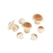 7 Champignons en mousse 3 cm - 6,5 cm - Couleur Marron