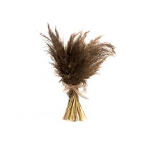 Bouquet herbes séchées pampa naturelle 50 cm - Couleur Marron