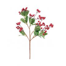 Branche de houx avec baies 48 cm - Couleur Rouge
