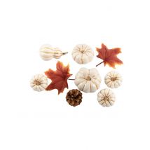 Lot 9 déco d'automne citrouilles, feuilles et pommes de pin 4 à 10 cm - Couleur Blanc