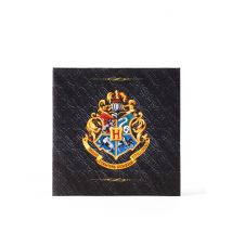 20 Serviettes en papier Harry Potter 33x 33 cm