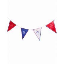 Guirlande fanions FFF 270 cm - Couleur Multicolore