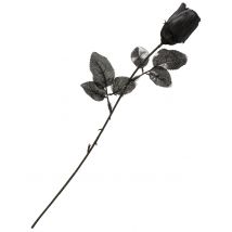 Rosa nera per Halloween
