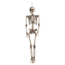 Decorazione da appendere scheletro a grandezza umana 160 cm - Colore Bianco