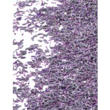 Sacchetto di fiori di lavanda naturale 1 Kg - Colore Viola e lilla