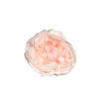 Decorazione per la tavola rosa color rosa antico - Colore Rosa