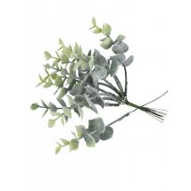 10 rami di eucalipto innevati - Colore Verde