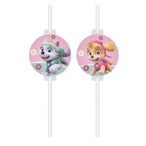 4 cannucce a medaglione Paw Patrol Skye + Everest