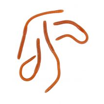 bicchieri di terra appiccicosa 17 cm - Colore Arancione